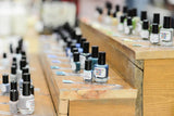 Mystery Nail Polish GRAB BAG - 2 full OR 4 mini - rare, prototypes, LEs, discontinued, OOAK - Fanchromatic Nails
