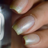 Wrapped In Plastic Nail Polish - matte iridescent flakie top coat - Fanchromatic Nails